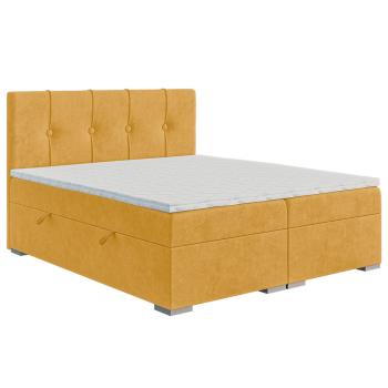laverto-rule-rulez-140-160-magicvelvet-2215-1