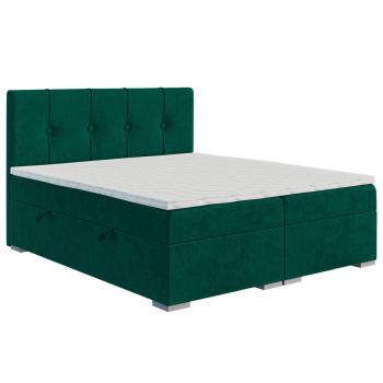 laverto-rule-rulez-140-160-magicvelvet-2225-1