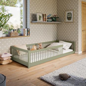 olive1-2